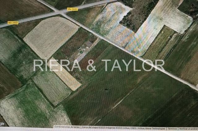 Undeveloped Land for sale in Santa Margalida - € 10,000 (Ref: 8472800)