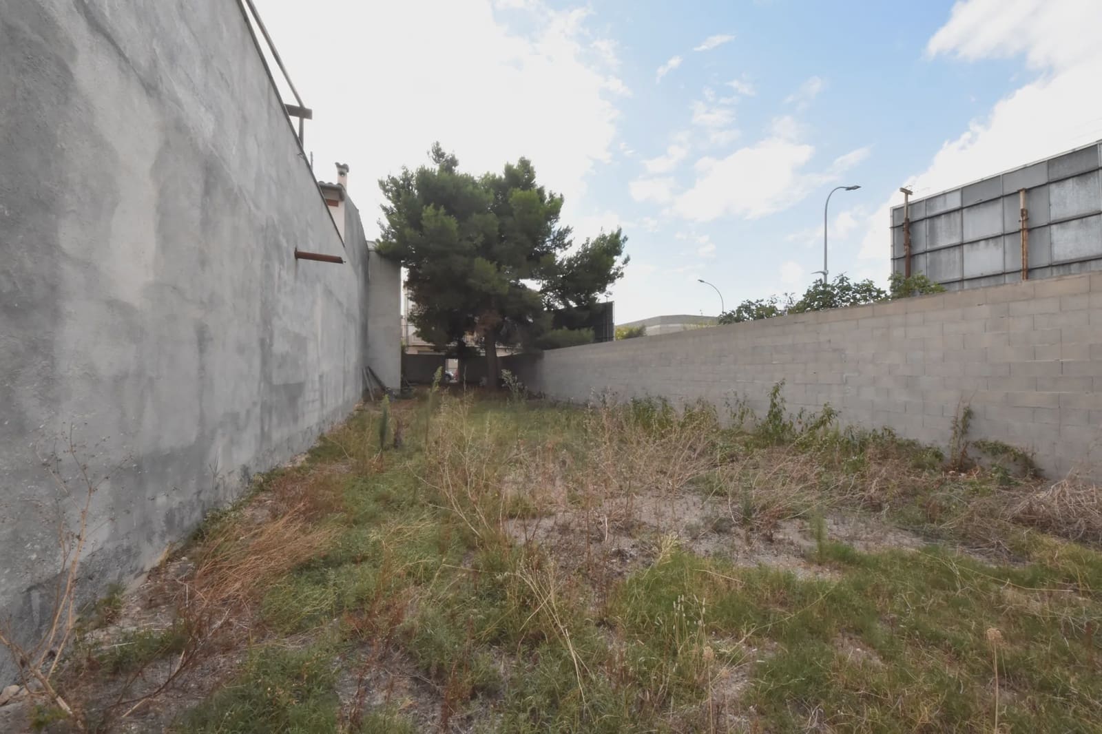Building Plot for sale in Manacor - € 240,000 (Ref: 8498139)