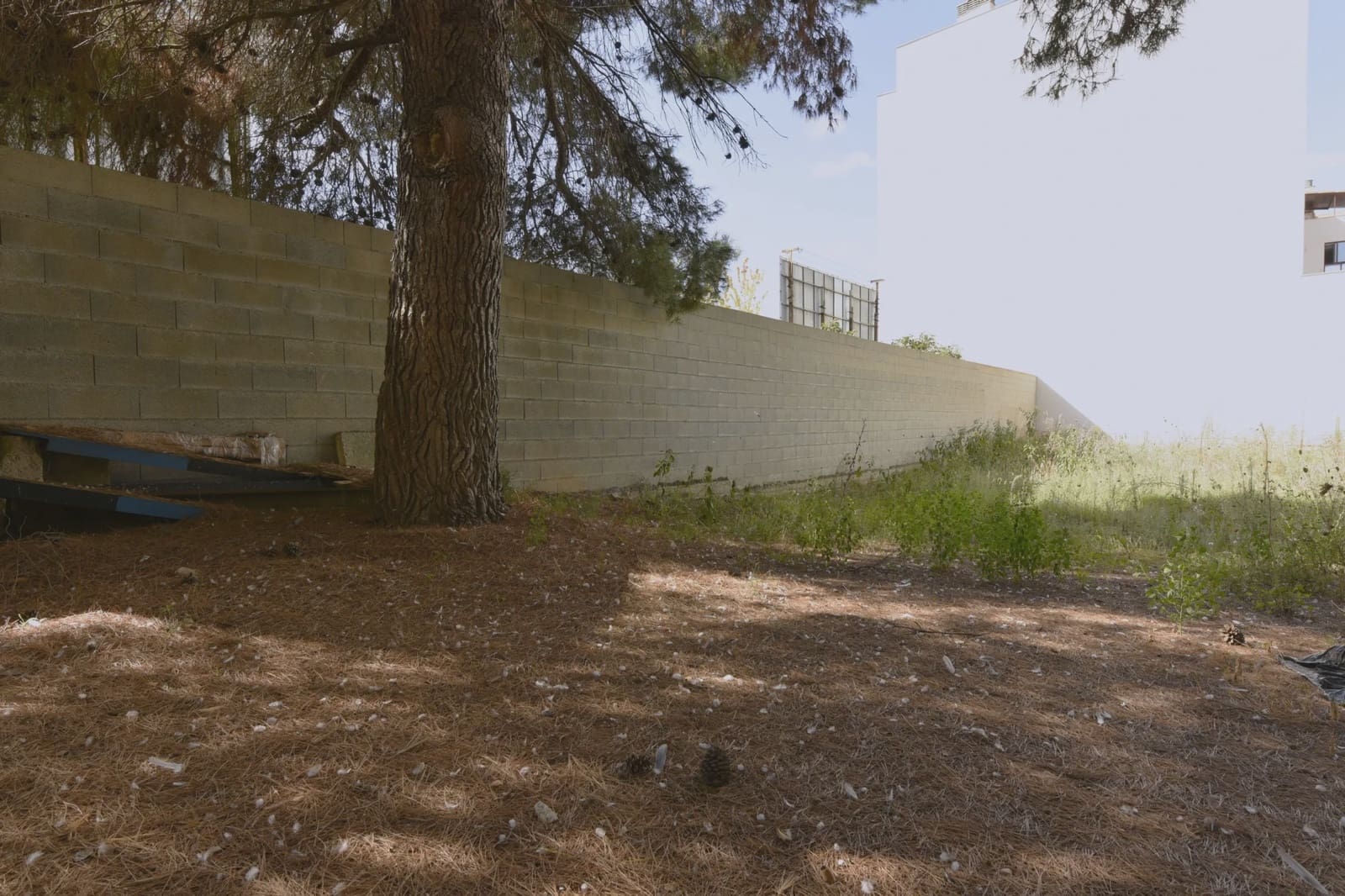 Building Plot for sale in Manacor - € 240,000 (Ref: 8498139)