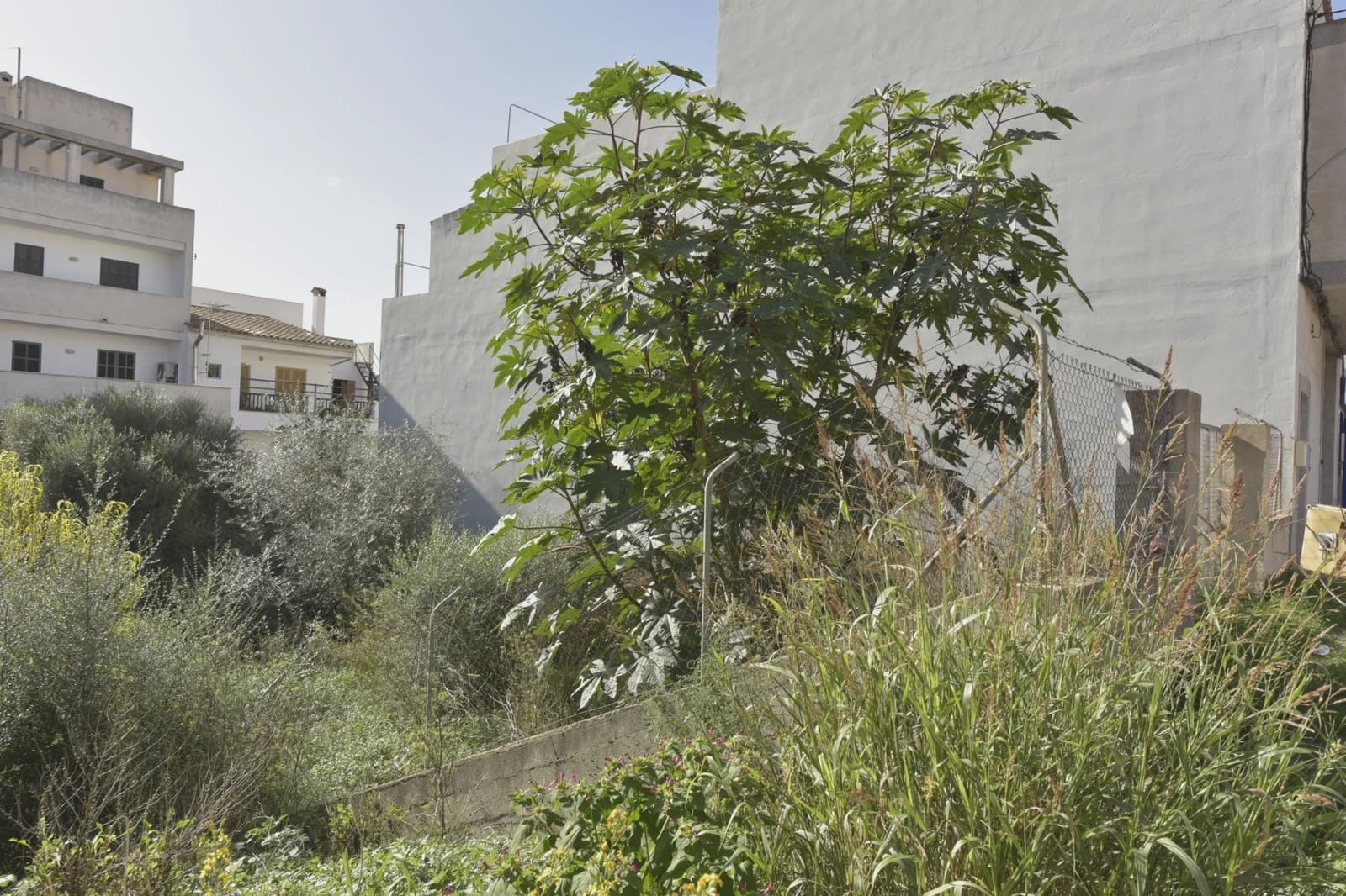 Byggegrund til salg i Felanitx - € 125.000 (Ref: 8499607)