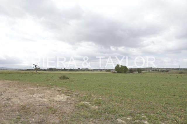 3 slaapkamer Finca/Landhuis te koop in Manacor - € 850.000 (Ref: 8505046)