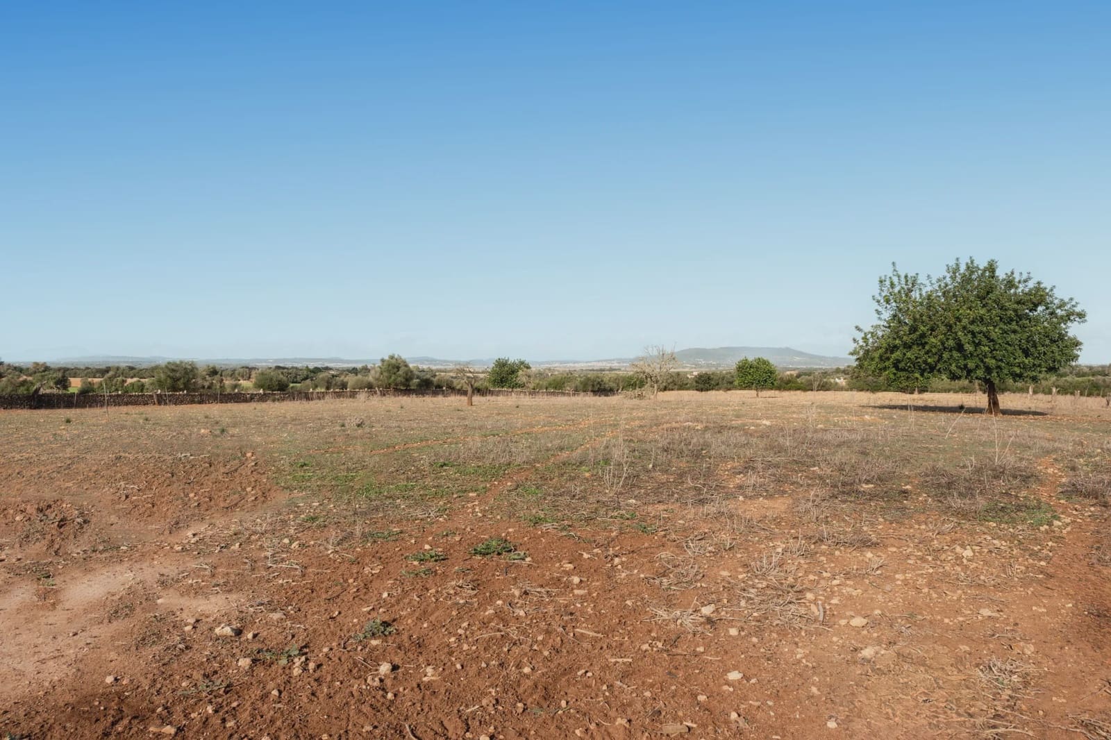 3 soverom Finca/Herregård til salgs i Manacor med garasje - € 420 000 (Ref: 8515620)