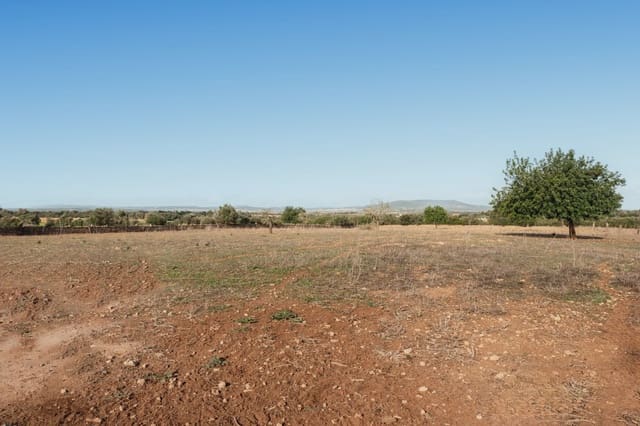 3 soverom Finca/Herregård til salgs i Manacor med garasje - € 420 000 (Ref: 8515620)