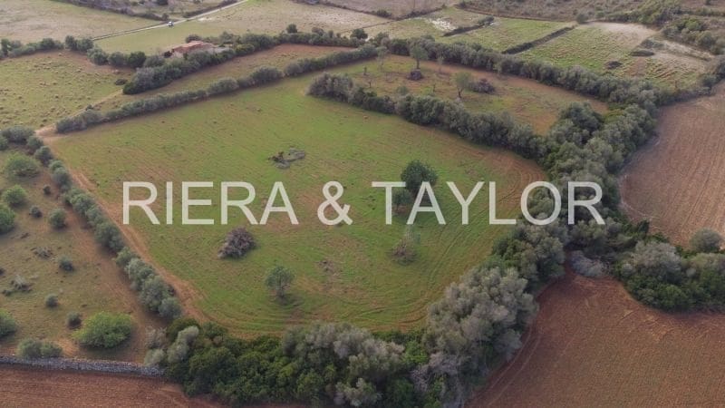 Undeveloped Land for sale in Manacor - € 220,000 (Ref: 8525113)