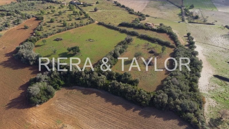 Undeveloped Land for sale in Manacor - € 220,000 (Ref: 8525113)
