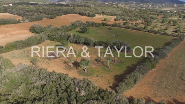 Undeveloped Land for sale in Manacor - € 220,000 (Ref: 8525113)