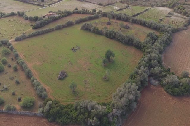 Grunde uden byggetilladelser til salg i Manacor - € 220.000 (Ref: 8525113)