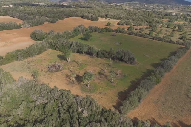 Grunde uden byggetilladelser til salg i Manacor - € 220.000 (Ref: 8525113)