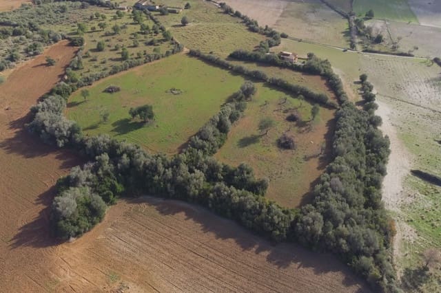 Grunde uden byggetilladelser til salg i Manacor - € 220.000 (Ref: 8525113)