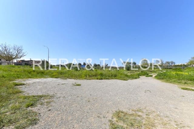 Byggetomt til salgs i Manacor - € 450 000 (Ref: 8533326)