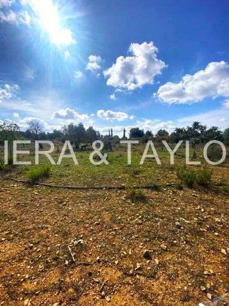 Ubebygd land til salgs i Vilafranca de Bonany - € 260 000 (Ref: 8535693)