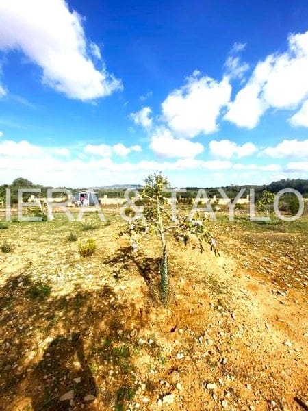 Ubebygd land til salgs i Vilafranca de Bonany - € 260 000 (Ref: 8535693)