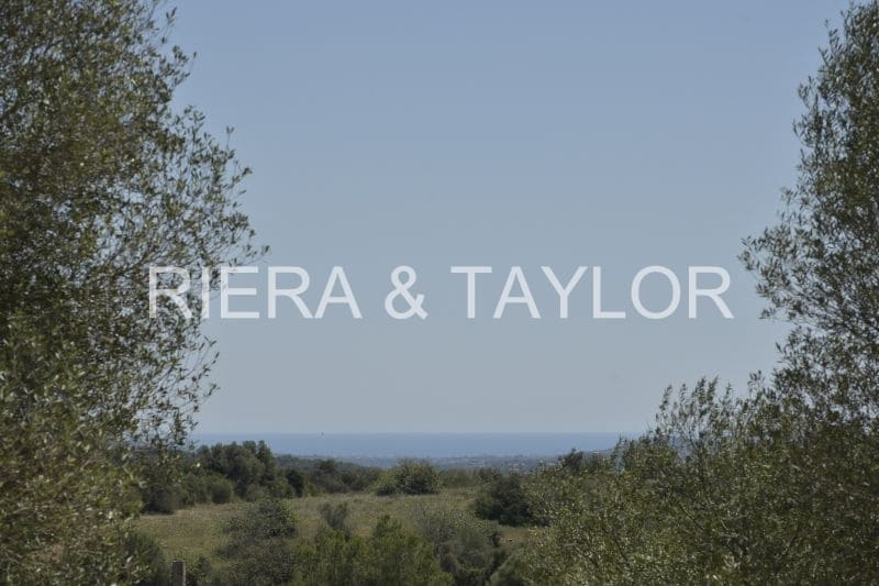 Ubebygd land til salgs i Manacor - € 395 000 (Ref: 8539371)