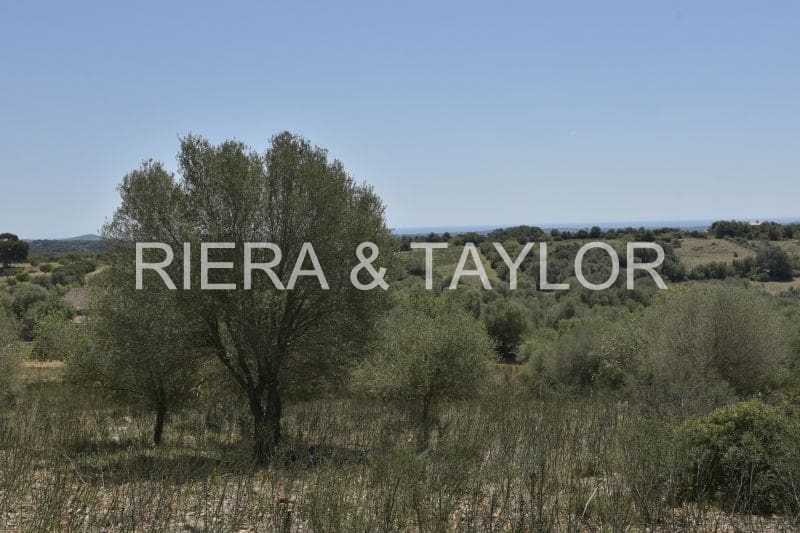 Ubebygd land til salgs i Manacor - € 395 000 (Ref: 8539371)