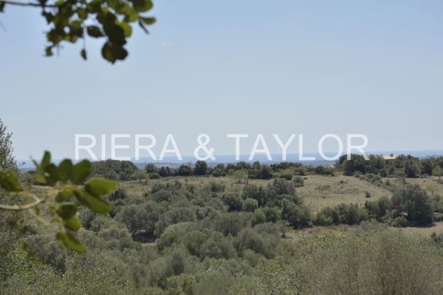 Ubebygd land til salgs i Manacor - € 395 000 (Ref: 8539371)