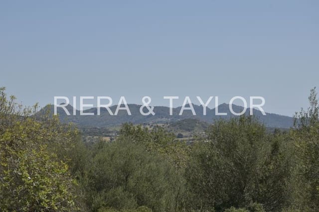 Ubebygd land til salgs i Manacor - € 395 000 (Ref: 8539371)