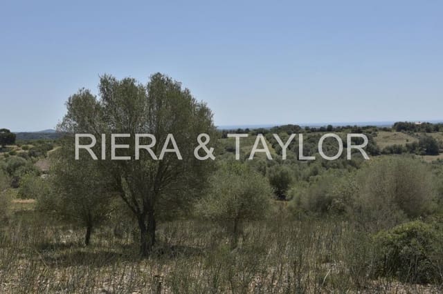 Ubebygd land til salgs i Manacor - € 395 000 (Ref: 8539371)