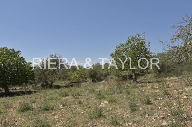 Ubebygd land til salgs i Manacor - € 395 000 (Ref: 8539371)