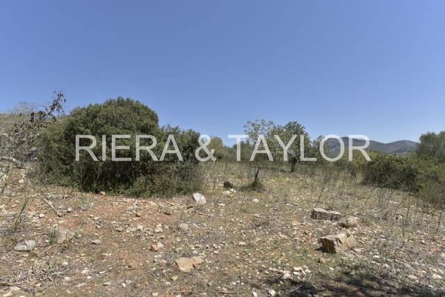 Ubebygd land til salgs i Manacor - € 395 000 (Ref: 8539371)