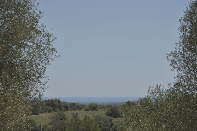 Grunde uden byggetilladelser til salg i Manacor - € 395.000 (Ref: 8539371)