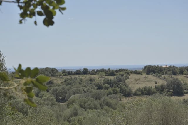 Grunde uden byggetilladelser til salg i Manacor - € 395.000 (Ref: 8539371)