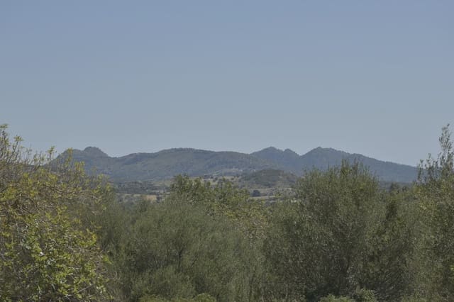 Grunde uden byggetilladelser til salg i Manacor - € 395.000 (Ref: 8539371)