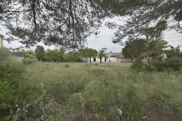 Działka budowlana na sprzedaż w Sa Coma, Sant Llorenç des Cardassar - 350 000 € (Ref: 8578958)