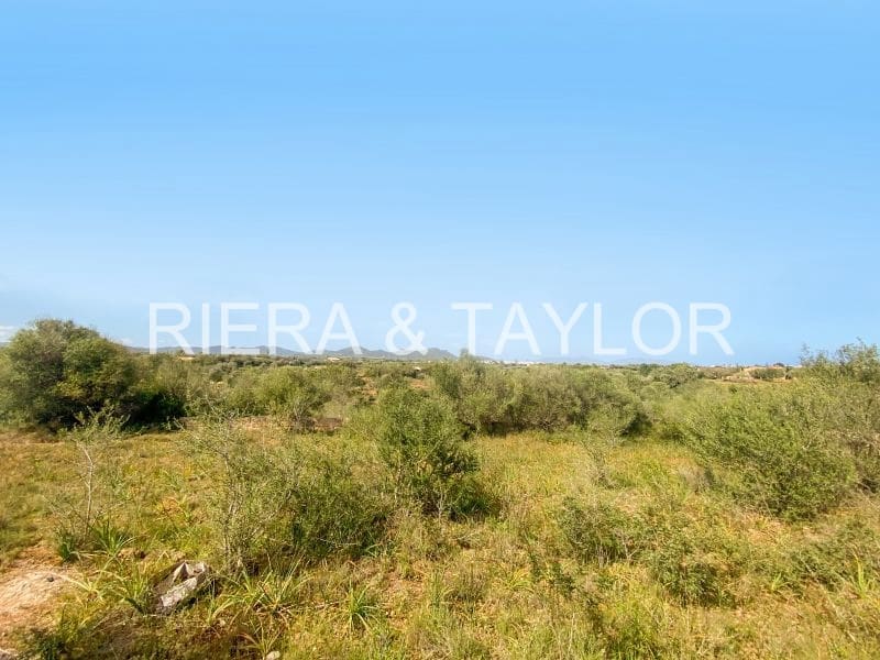 Ubebygd land til salgs i S'Illot - € 140 000 (Ref: 8583172)