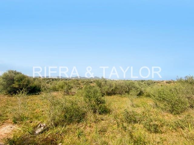 Mark till salu i S'Illot, Sant Llorenç des Cardassar - 140 000 € (Ref: 8583172)