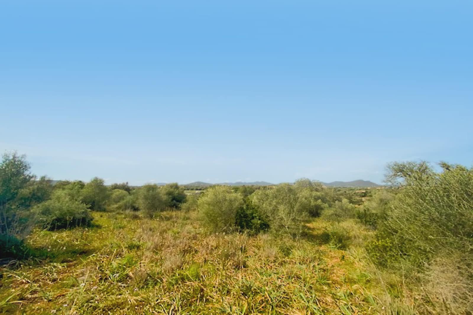 Undeveloped Land for sale in S'Illot - € 140,000 (Ref: 8583172)