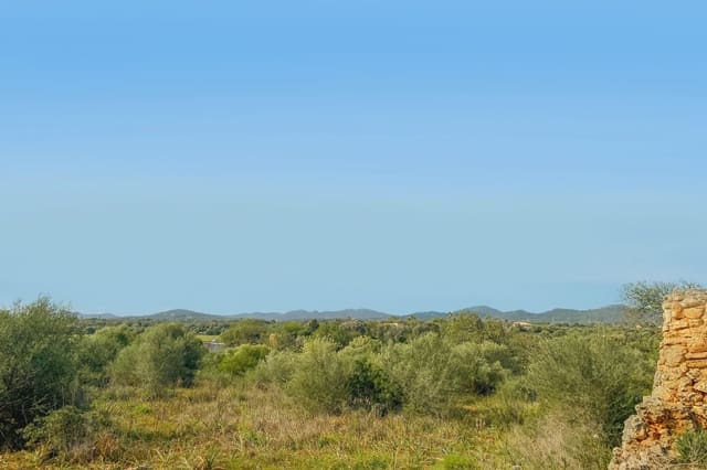 Teren niezagospodarowany na sprzedaż w S'Illot, Sant Llorenç des Cardassar - 140 000 € (Ref: 8583172)