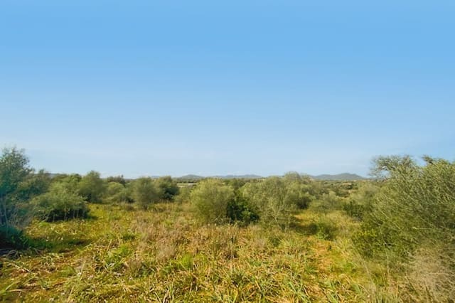 Teren niezagospodarowany na sprzedaż w S'Illot, Sant Llorenç des Cardassar - 140 000 € (Ref: 8583172)