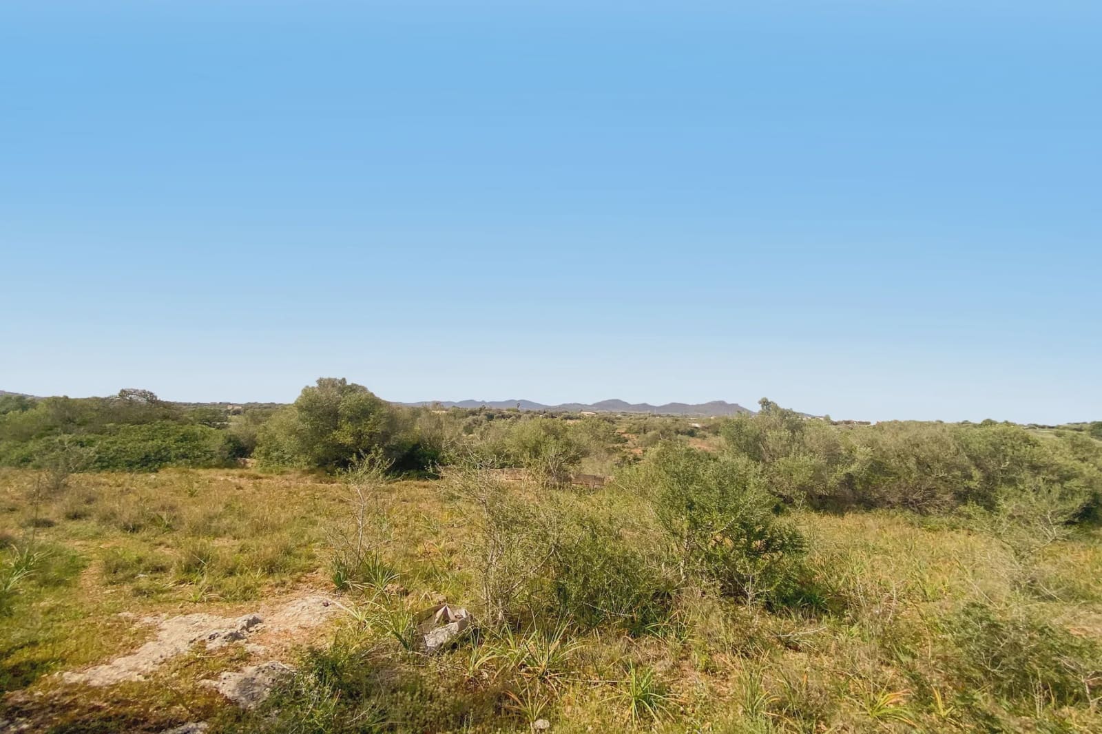 Undeveloped Land for sale in S'Illot - € 140,000 (Ref: 8583172)