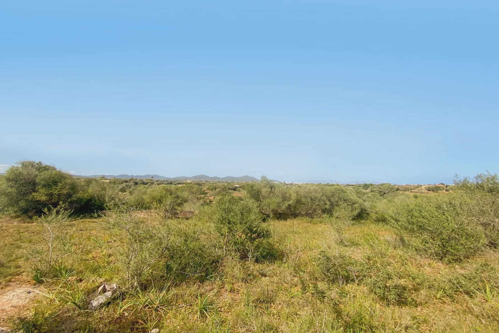 Undeveloped Land for sale in S'Illot - € 140,000 (Ref: 8583172)