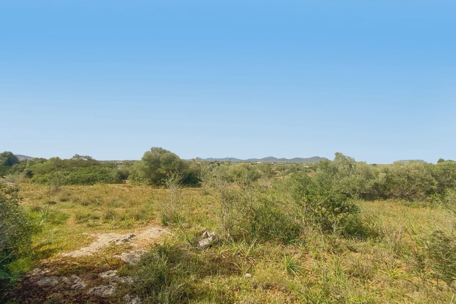 Undeveloped Land for sale in S'Illot - € 140,000 (Ref: 8583172)