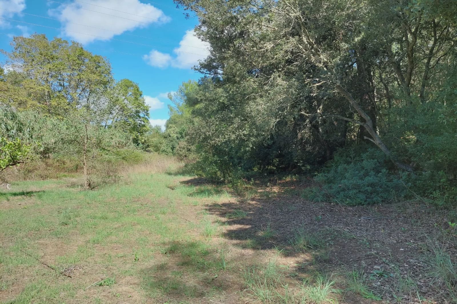 Undeveloped Land for sale in Capdepera - € 500,000 (Ref: 8583348)