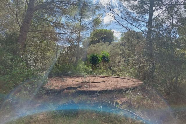 Teren niezagospodarowany na sprzedaż w Capdepera - 500 000 € (Ref: 8583348)