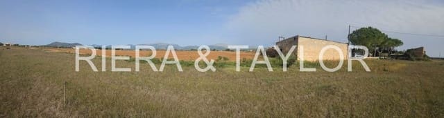 Undeveloped Land for sale in Llubí - € 299,000 (Ref: 8583554)