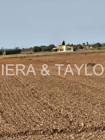 Undeveloped Land for sale in Llubí - € 299,000 (Ref: 8583554)
