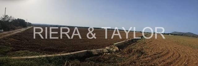 Undeveloped Land for sale in Llubí - € 299,000 (Ref: 8583554)
