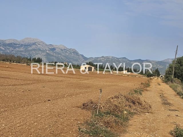 Undeveloped Land for sale in Llubí - € 299,000 (Ref: 8583554)