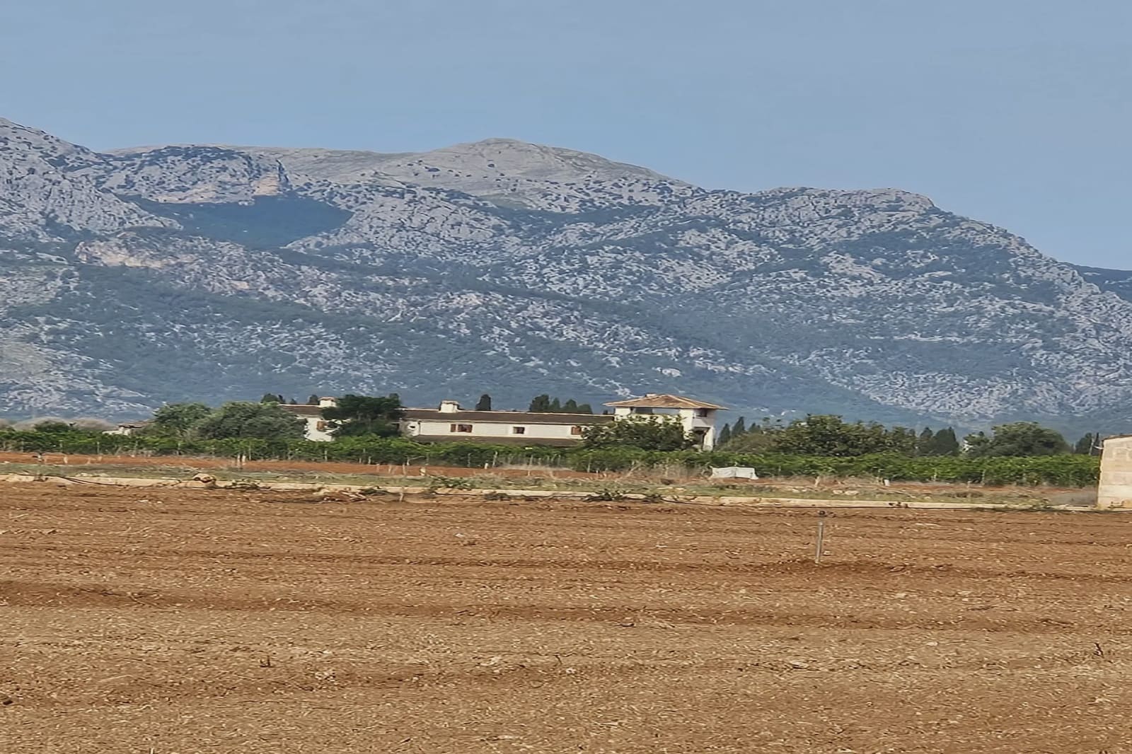 Undeveloped Land for sale in Llubi - € 299,000 (Ref: 8583554)