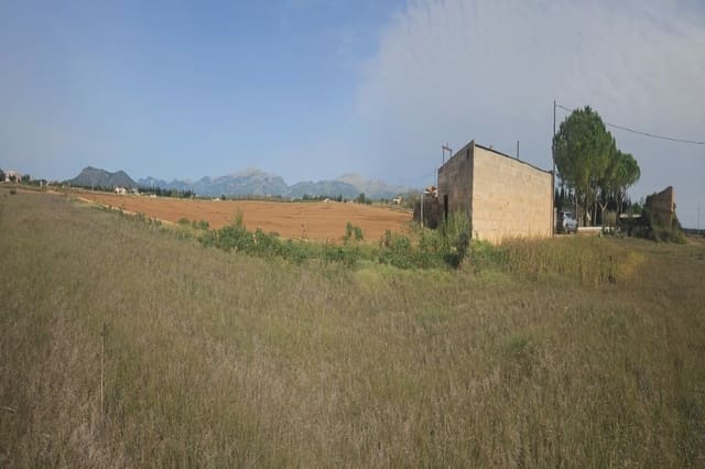 Undeveloped Land for sale in Llubí - € 299,000 (Ref: 8583554)