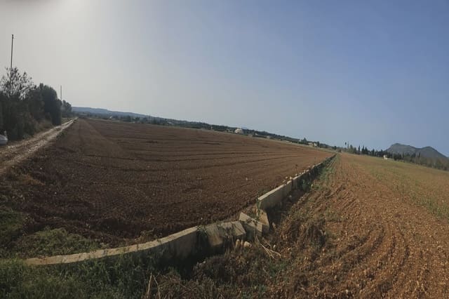 Undeveloped Land for sale in Llubí - € 299,000 (Ref: 8583554)