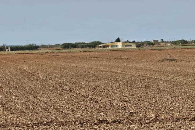 Undeveloped Land for sale in Llubí - € 299,000 (Ref: 8583554)