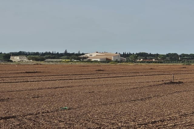 Undeveloped Land for sale in Llubí - € 299,000 (Ref: 8583554)