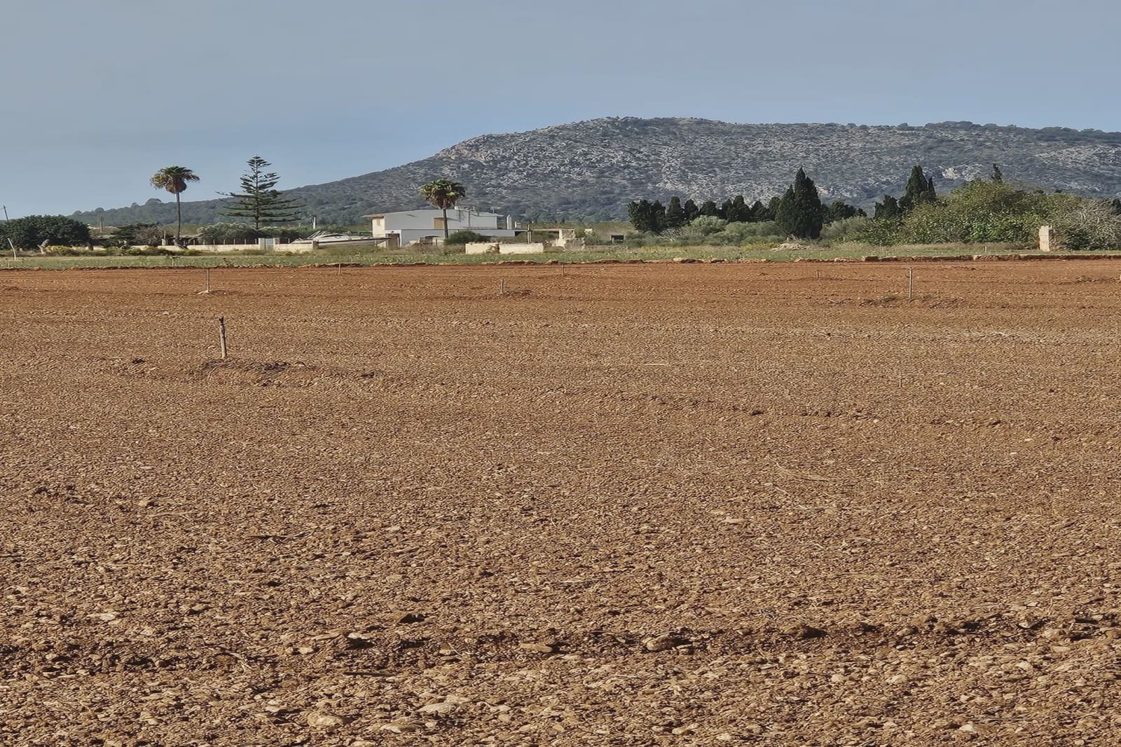 Undeveloped Land for sale in Llubi - € 299,000 (Ref: 8583554)