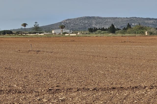 Undeveloped Land for sale in Llubí - € 299,000 (Ref: 8583554)