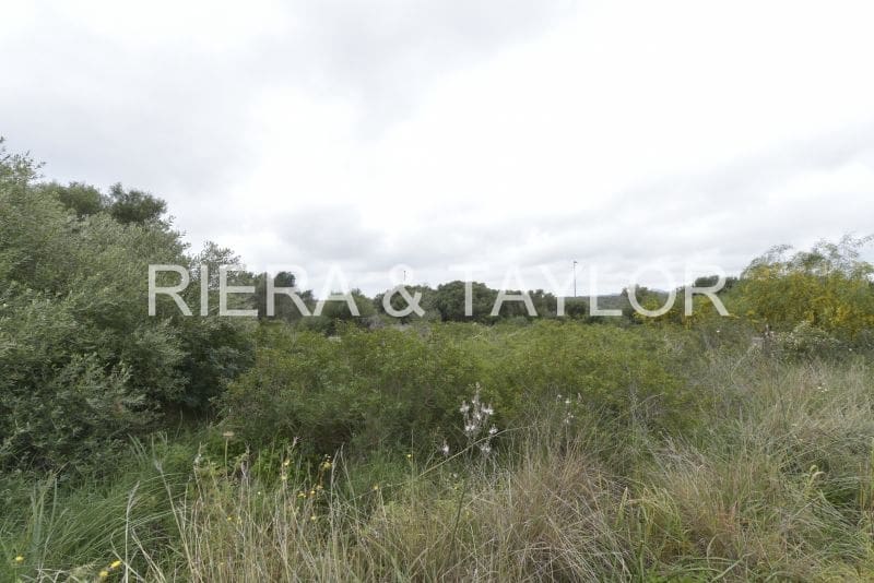 Bouwgrond te koop in Calas de Mallorca - € 134.000 (Ref: 8611233)