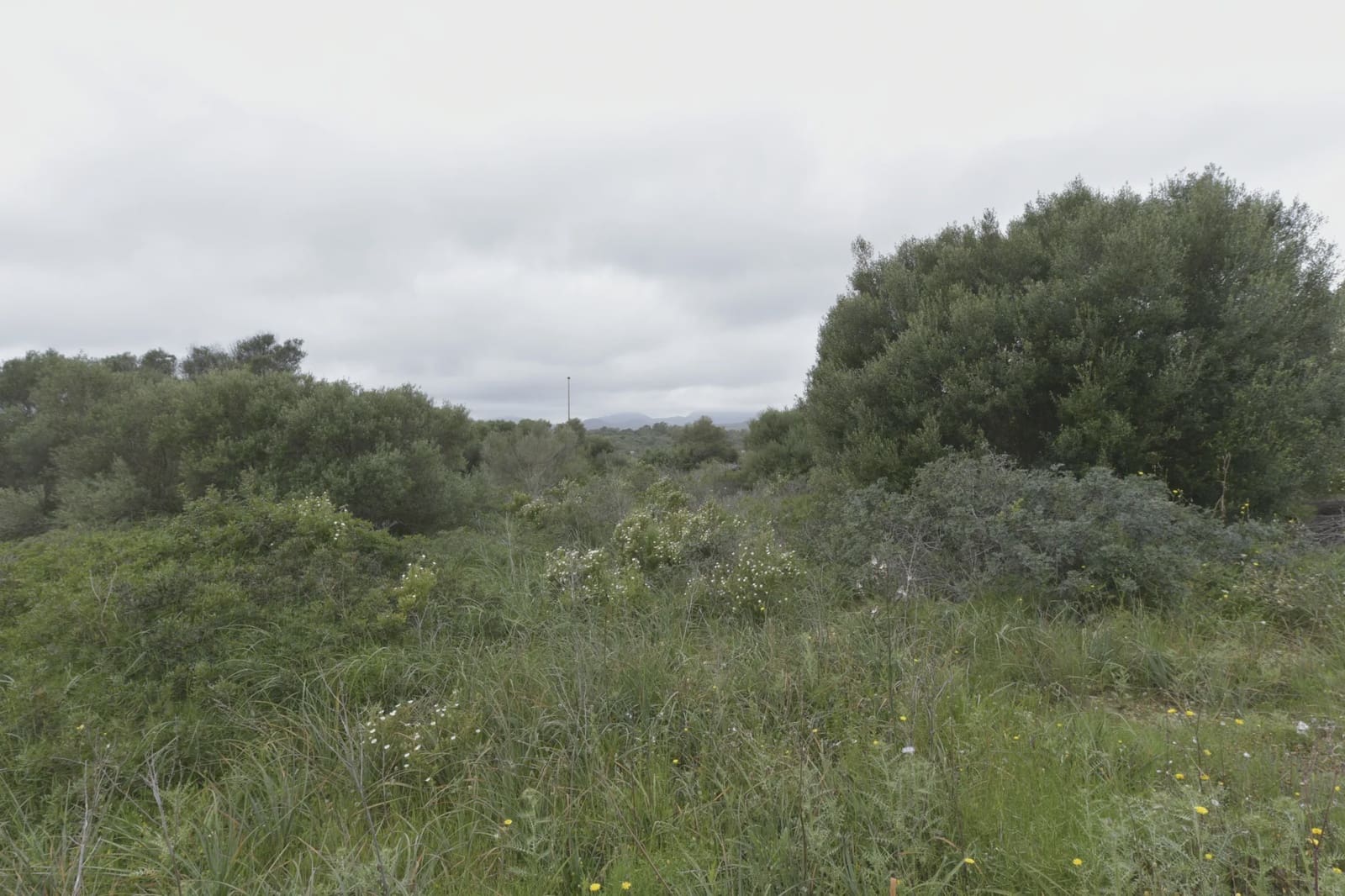 Tontti myytävänä paikassa Calas de Mallorca - 134 000 € (Ref: 8611233)